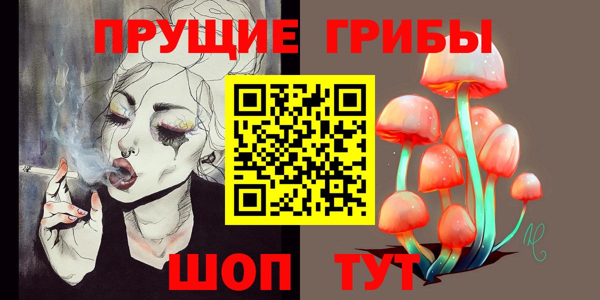 Галлюциногенные грибы Psilocybine cubensis Елец